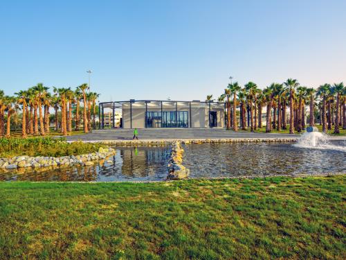 Park with palm trees and a water basin